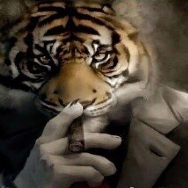 cherkawpr1me