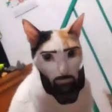 CEMEN_VIRGIN avatar