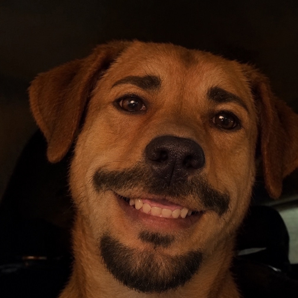 Fratello