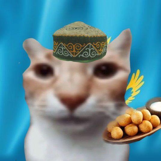 arandaru_ avatar