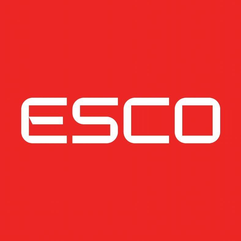 EESC0O avatar