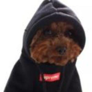 WatermanL avatar