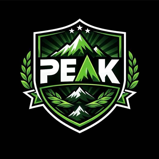 PEAK AGENCY