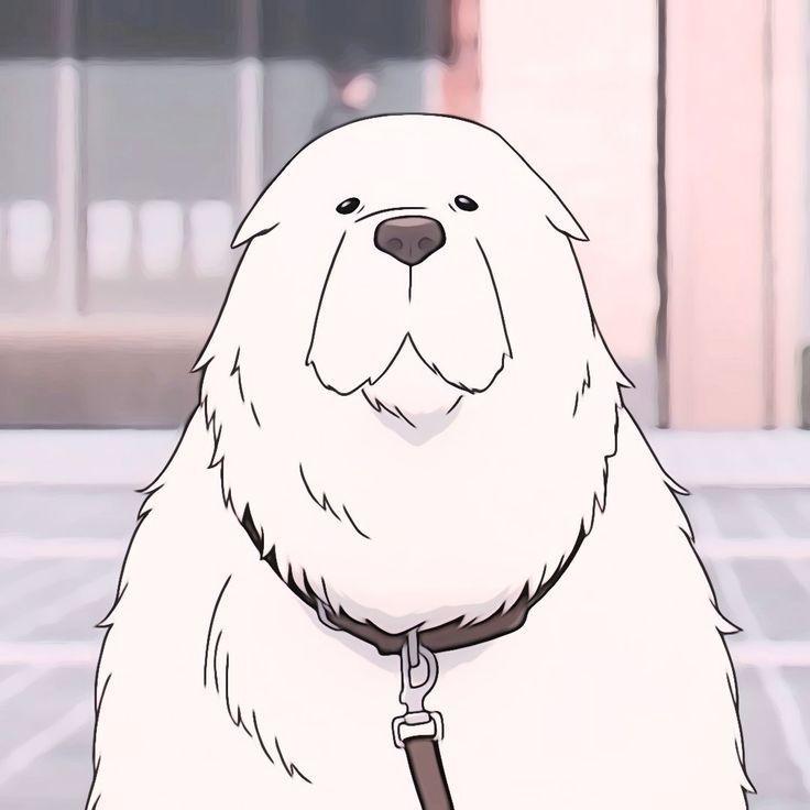 byduhaN avatar