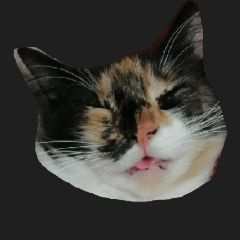 small cats