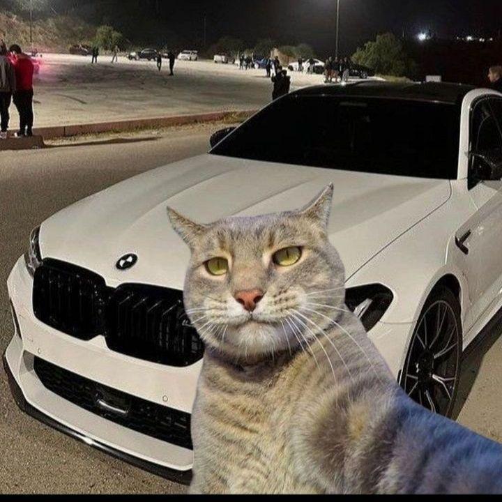 Berllinbtw avatar