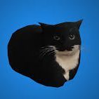 AppAxNooB