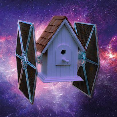 birdhouse2 avatar
