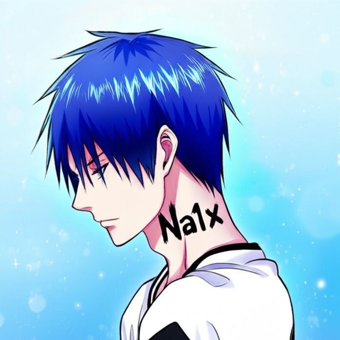 na1x11