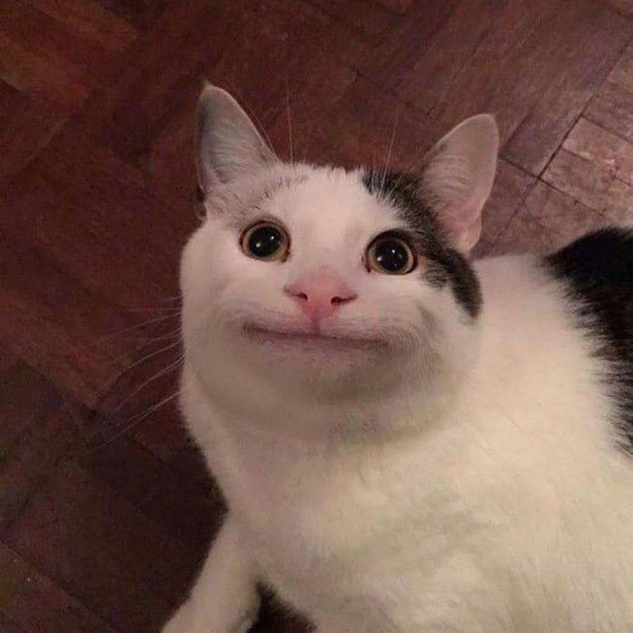 mr_fr0d0