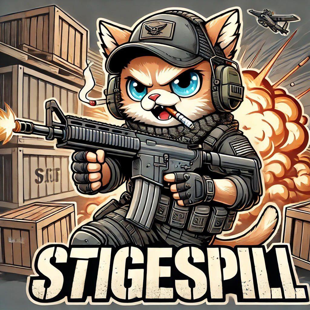 Player Stigespill avatar