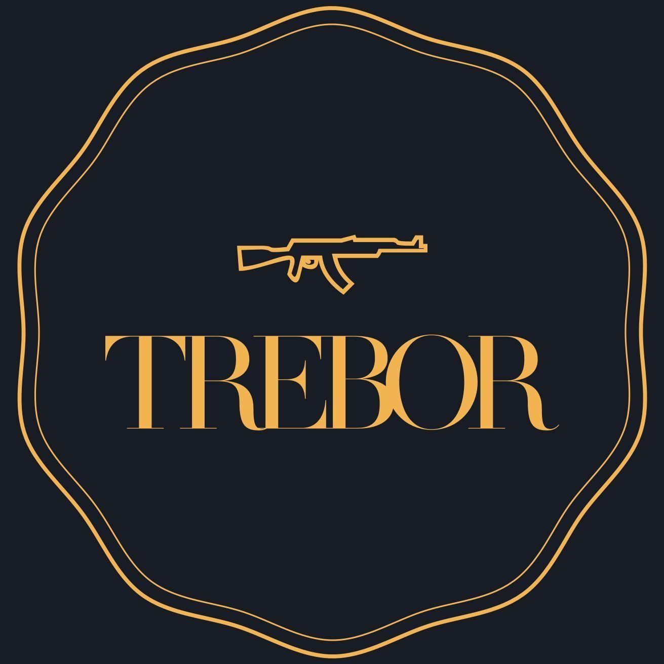 treboR21 avatar