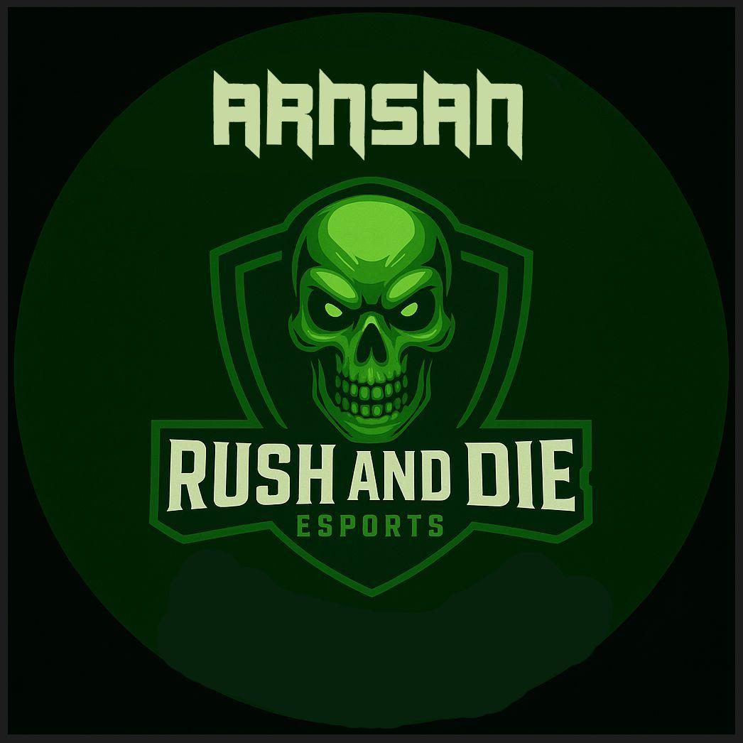 ARNSAN avatar