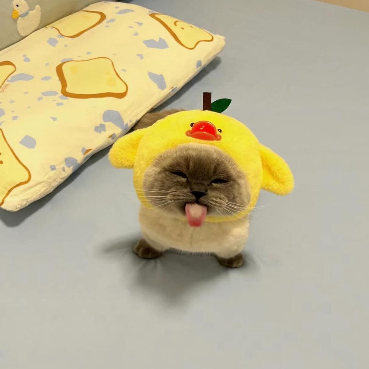 mrvwek