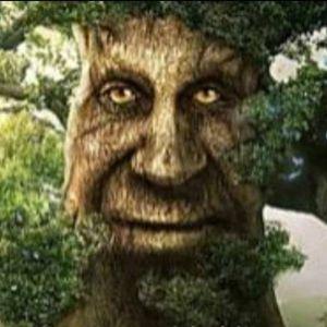 tirum5 avatar