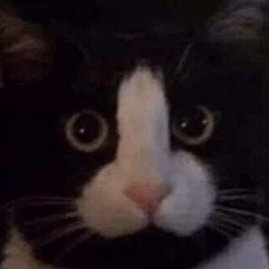 mrvlander avatar