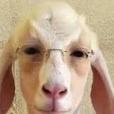 pap0nt avatar