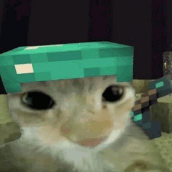 uwyopgfhwgie FACEIT avatar