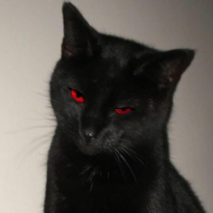 kappa666- avatar