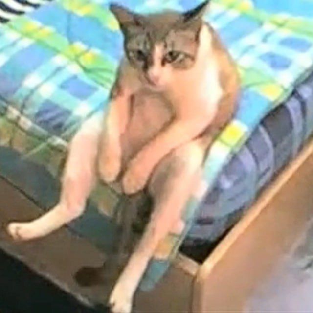 xerog