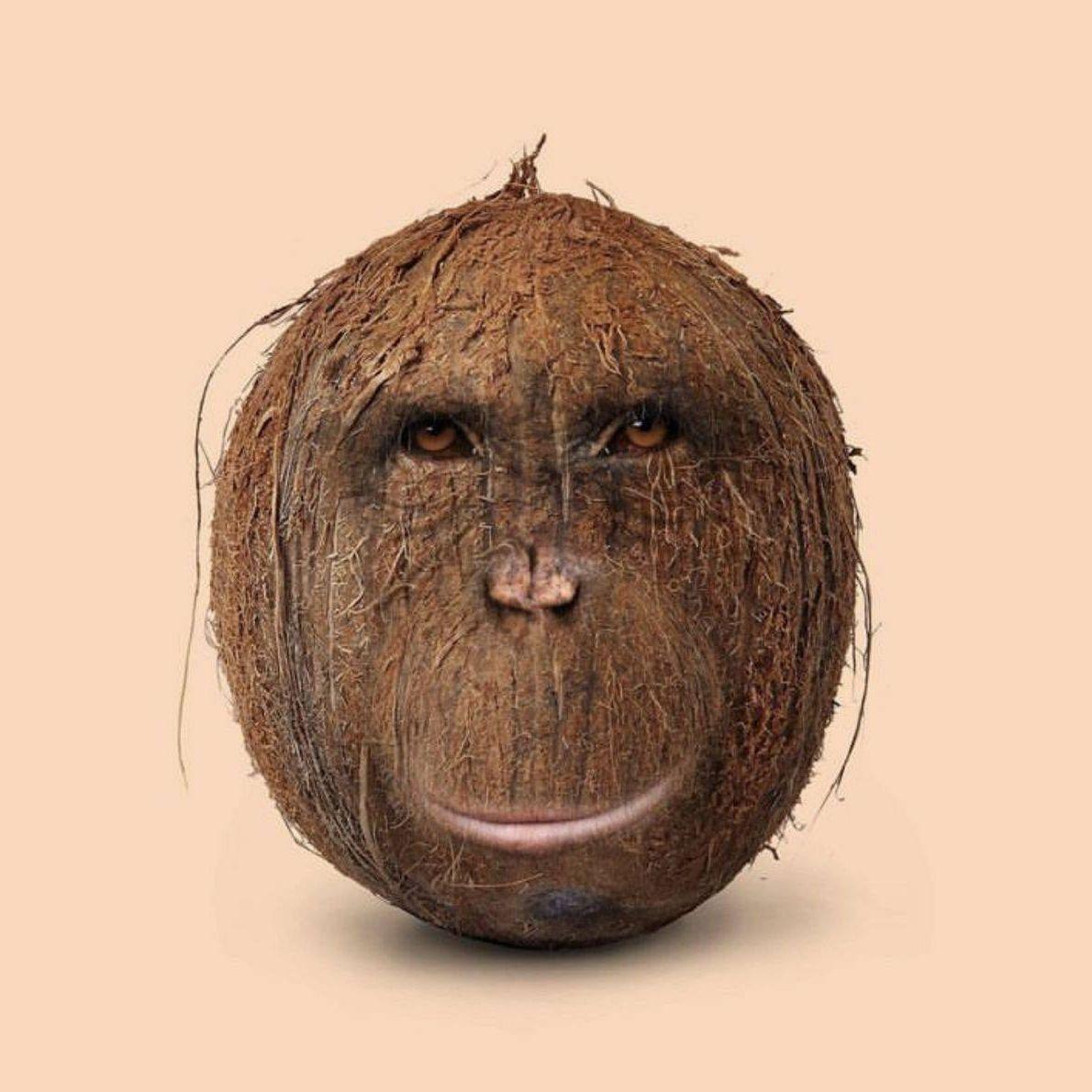 mutyce avatar