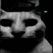 K_Kolgotkin avatar