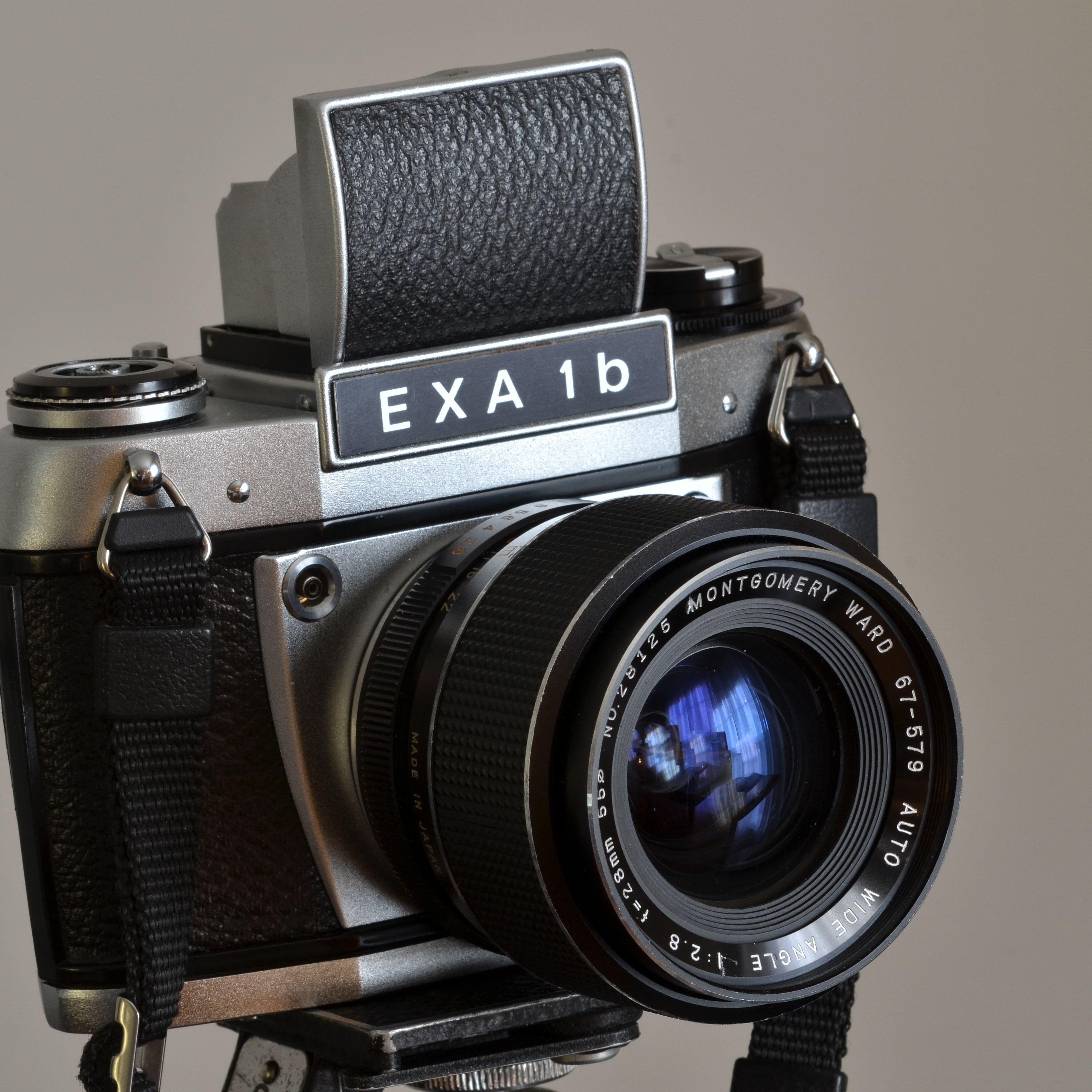 exansk avatar