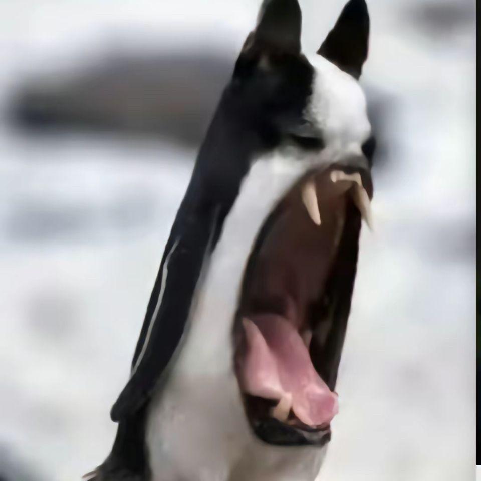 psychxgod_ avatar