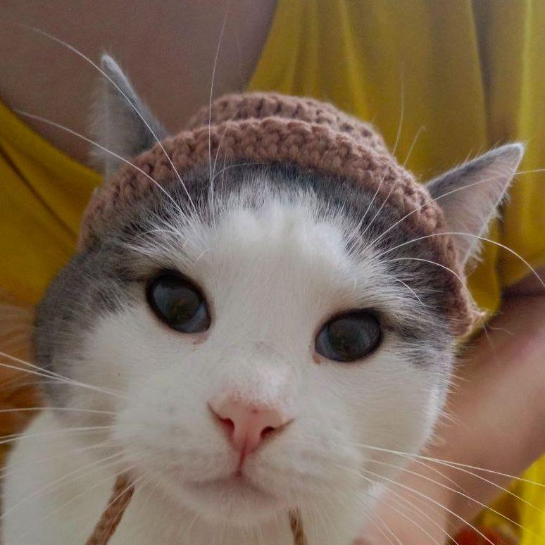anakostii avatar