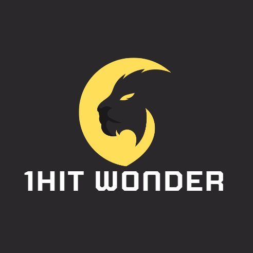 One Hit Wonder