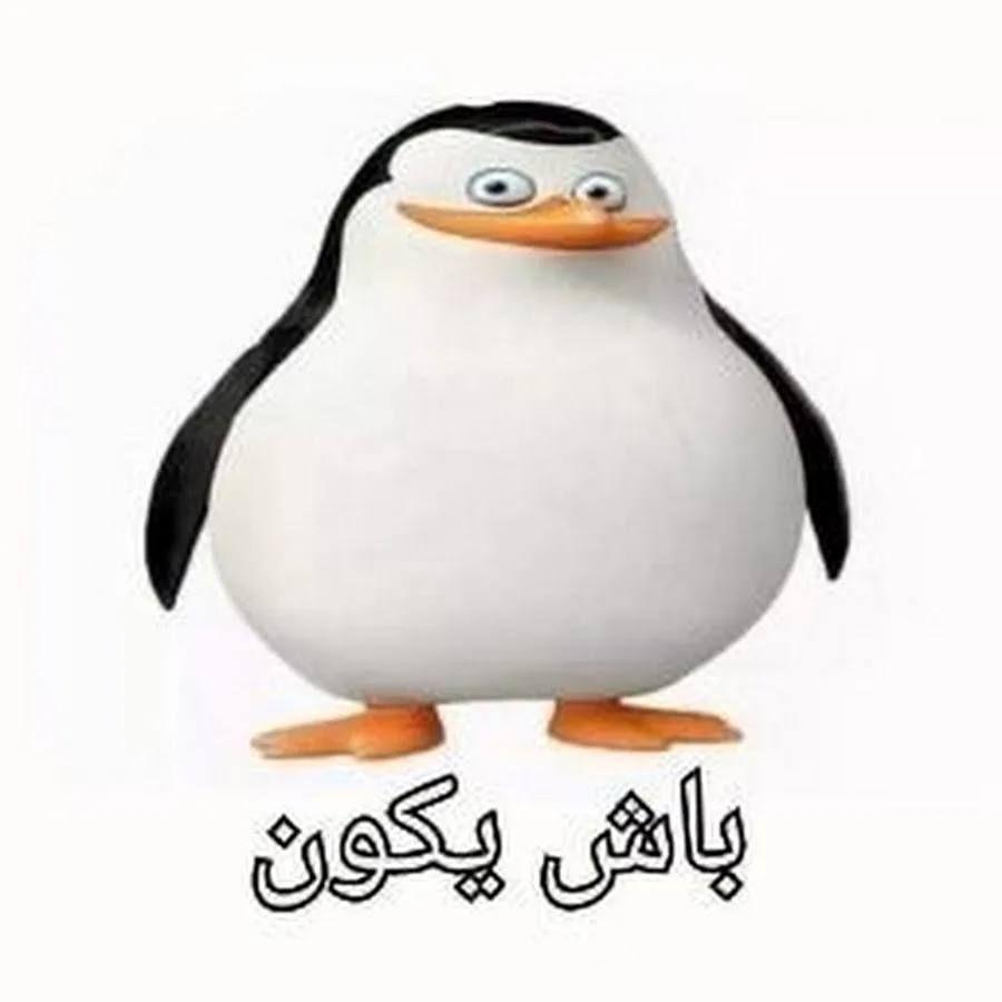 WOWan_88 avatar
