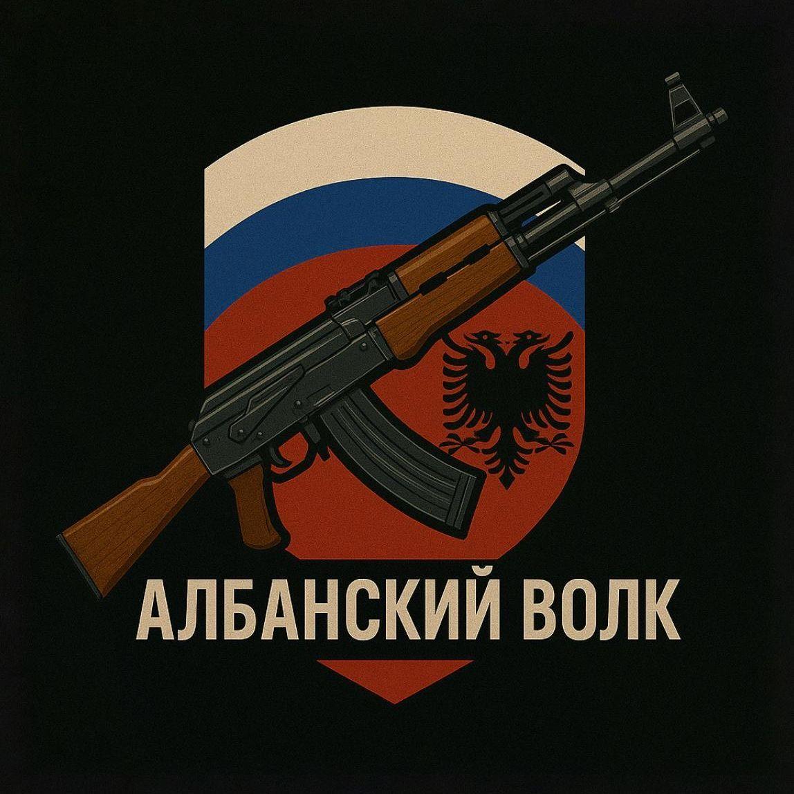 AlbanskiVolk avatar