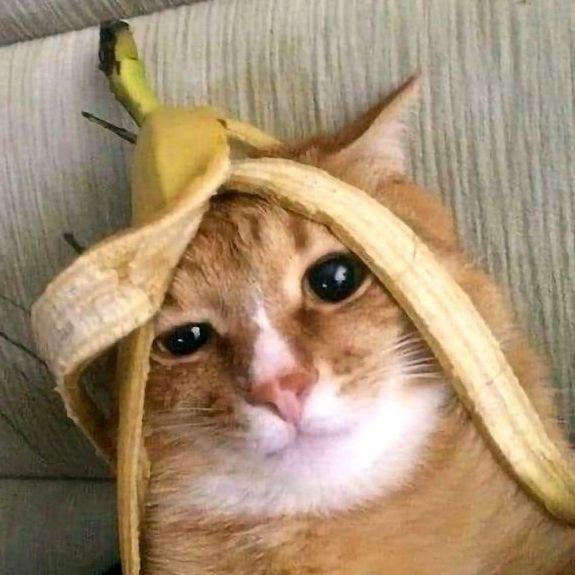 banana_of avatar