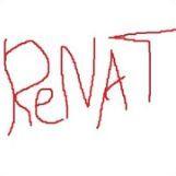 renat-n