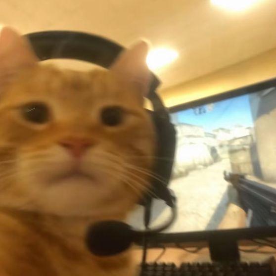 tanner avatar