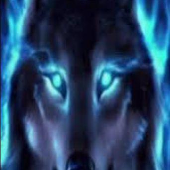 elkamciox avatar