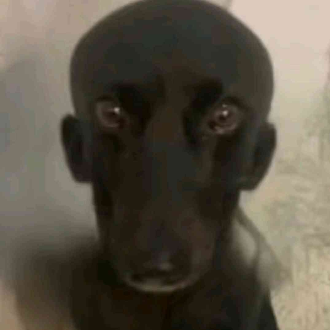 OchiChernye
