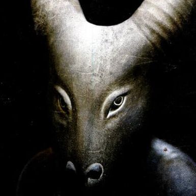 Narcissus-_ avatar