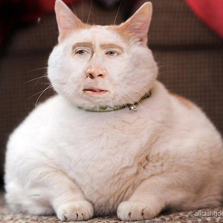 PuffyNicolas