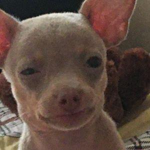 VeraSees avatar