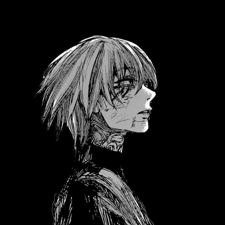 _N3SS