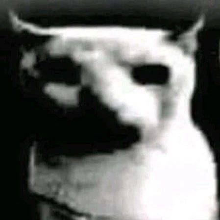 strxwe avatar