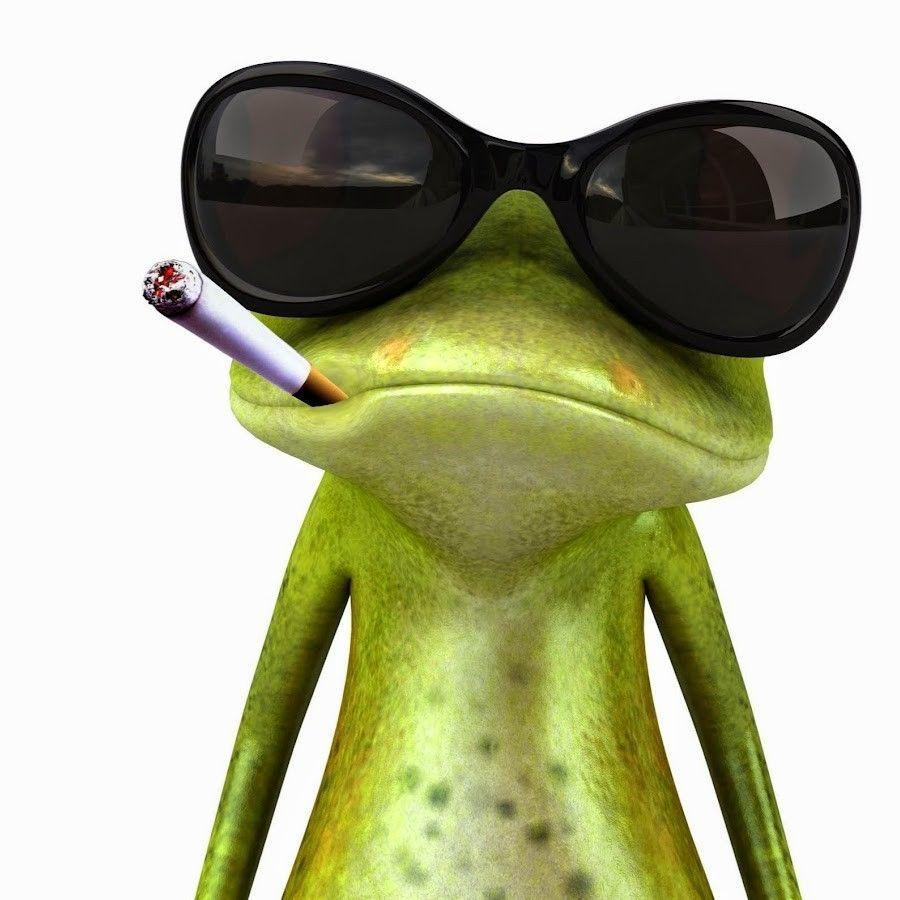 KNTexe avatar