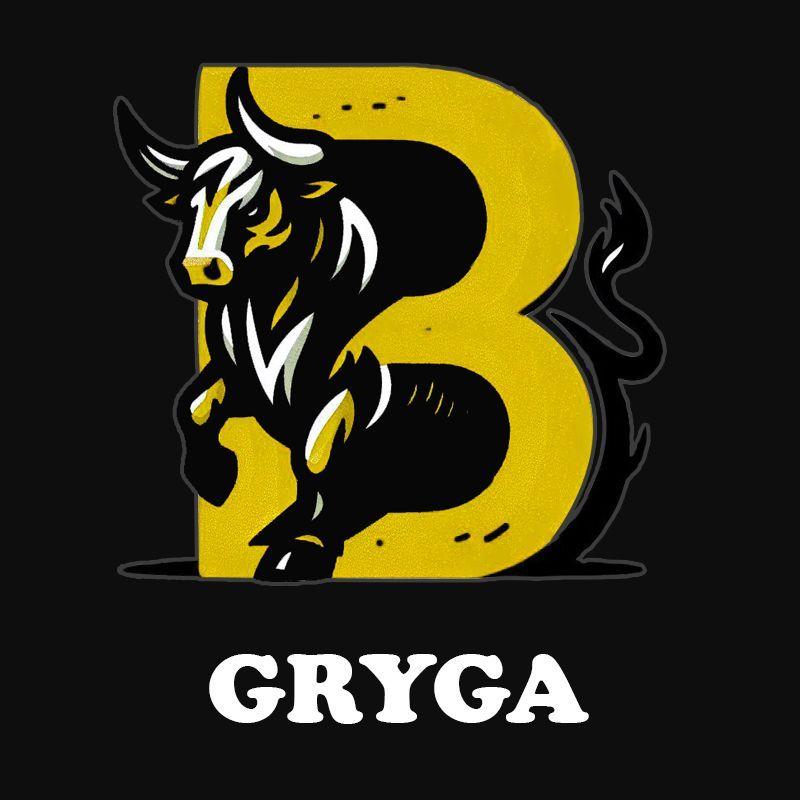 Player Gryga27 avatar