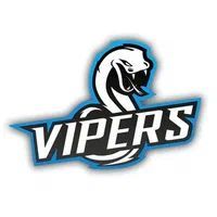 VIPERS TEAM