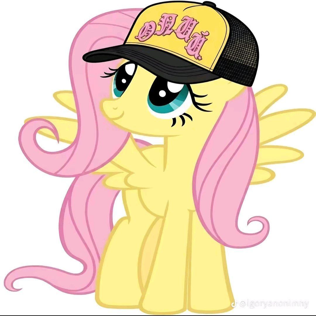 team_stokl1Shy