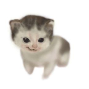 Snow_Blower avatar