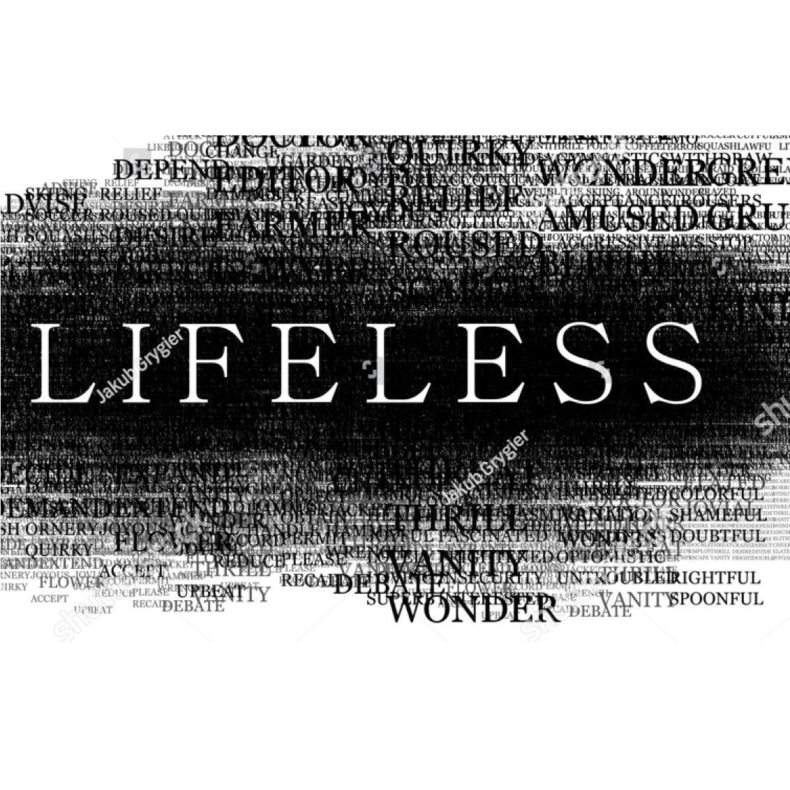team_lifeless666
