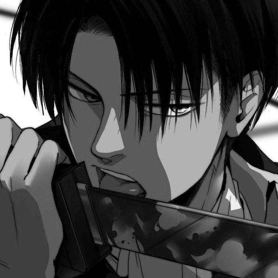 larkovicz avatar