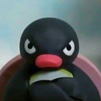 Pingu767 avatar